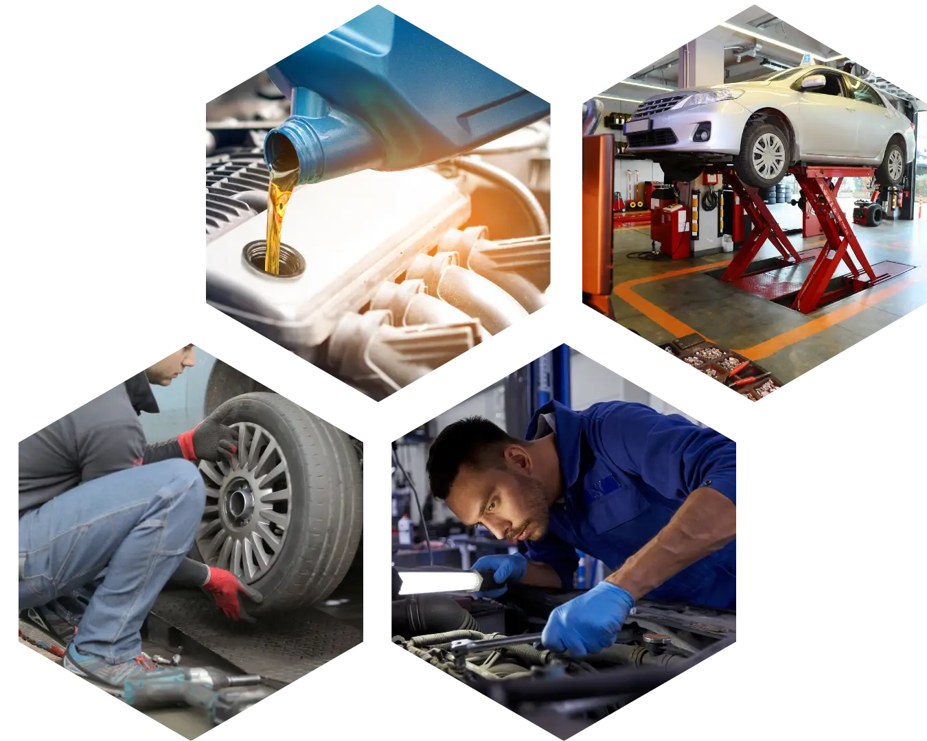 Epicautorepairhexes